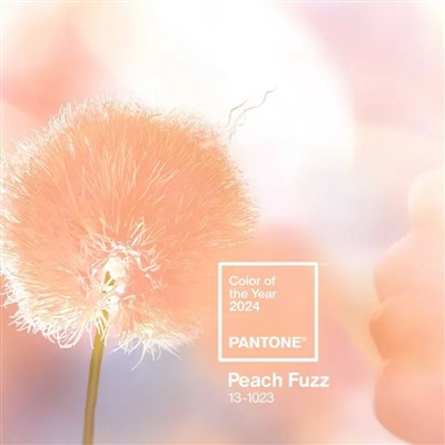 Cor do ano de 2024 da PANTONE - Peach Fuzz
